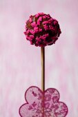 A chocolate cake pop decorated with sprinkles