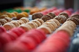 Various coloured macaroons