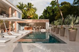 Luxurious, exotic pool complex with sun loungers and large potted palm trees