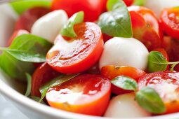 Tomatensalat mit Mozzarella und Basilikum