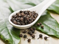 Cubeb pepper from Indonesia