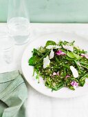 Quinoa salad with peas, beans, herbs and flowers