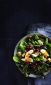 Spinatsalat mit Roter Bete, grünen Bohnen, Avocado und Ei