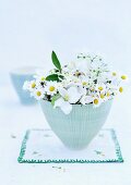 Gänseblümchen mit Apfelblüte und Waldmeister in Keramikschale auf besticktem Deckchen