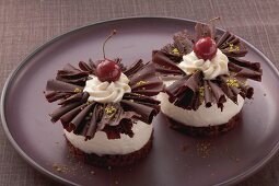 Individual Black Forest-style gateaux