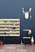 Pots of flowering plants on home-made, wall-mounted shelving