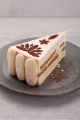 A slice of tiramisu cake