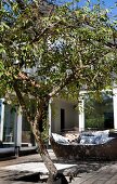 Wooden terrace with cut-out for tree in front of outdoor sofa