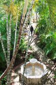 Lustwandeln in tropischem Garten
