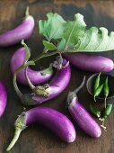 Organic Hydroponic Eggplants