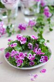 Wreath of scented pelargoniums decorating table