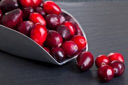 Cranberries on a shovel (close-up)