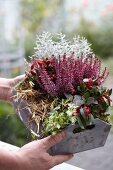 Autumnal arrangement of ivy, straw and heather in wooden crate