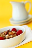 Bowl of Granola with Almonds and Raspberries