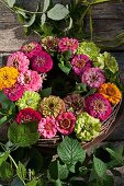 Wreath of zinnias