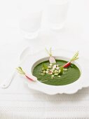 Cress soup with radishes