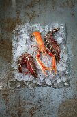King prawns and a langoustine on ice