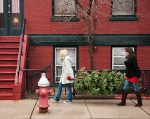 Women carrying Christmas tree on urban street