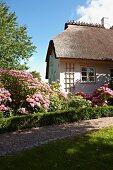 Kiesweg an üppig blühendem Staudenbeet und reetgedecktes Wohnhaus im Hintergrund