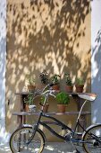 Bicycle in front of rustic, wooden plant staging against sunlit house facade