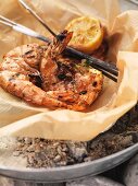 Barbecued langoustines on grease-proof paper