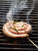 Raw sausage spiral with rosemary on the barbecue