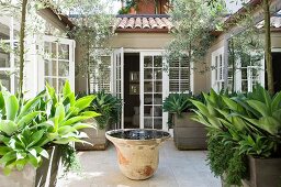 Large-leafed potted plants and ornamental fountain in patio-style courtyard