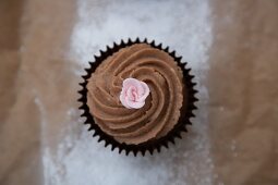 Chocolate cupcake with a sugar flower