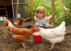 Germany, Brandenburg, Girl on hen farm