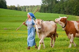 Germany, Bavaria, Mature woman with cow on farm