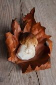 Fresh porcini mushroom on a dried autumn leaf