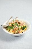 Farfalle with smoked salmon, broccoli and cream sauce