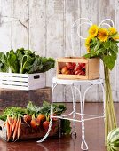 Organic Vegetables with Sunflowers