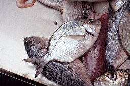 Fresh Caught Butter Fish at Ortigia Market in Siracusa, Sicily