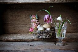 Still-life of various eggs in nest, snake's head fritillary and snowdrop in drinking glass and sticker of fairy figure in old wooden crate
