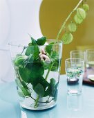 Blumenzweige im Wasserglas auf Tisch