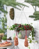 Wintergreen in hanging basket with bird food hanging from rim