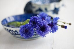 Cornflowers in blue ceramic dish