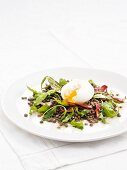 Lentil salad with bacon and a soft boiled egg