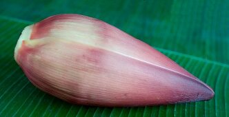 A banana flower for decoration