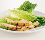 Fried strips of chicken with Romaine lettuce