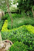 Densely-planted garden bed with various foliage plants arranged in parallel curves