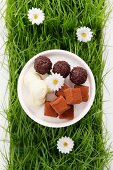Assorted chocolates in artificial grass