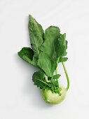 Kohlrabi with leaves