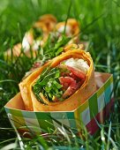 A wrap filled with tomato and mozzarella in a take-away box in the grass