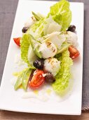 Caesar salad with mozzarella, olives and tomatoes