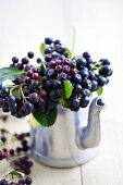 A bunch of aronia berries