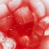 Wassermelonendrink mit Wodka und Eiswürfeln (Close Up)