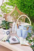 Gardening utensils, potted plants and vintage birdcage on garden table