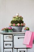 Arrangements of roses in old enamel pan and china flan dishes on old, wood-burning kitchen cooker